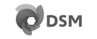 DSM-logo-grey-200x80